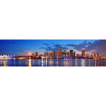 Miami Nights Wall Mural