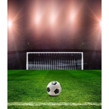 Soccer Stadium Lights Wall Mural