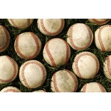 Baseballs in the Grass Wall Mural