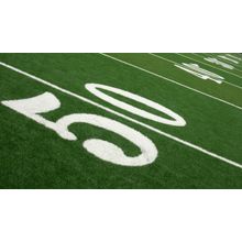 50 Yard Line Wall Mural