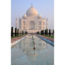 Taj Mahal Morning Wall Mural