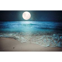 Starry Night Over Tropical Beach Wall Mural