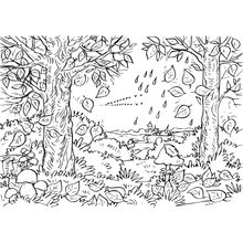 Forest In Autumn Wall Mural