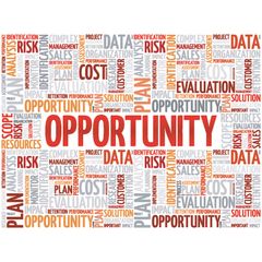 Opportunity and Success Word Cloud Wall Mural