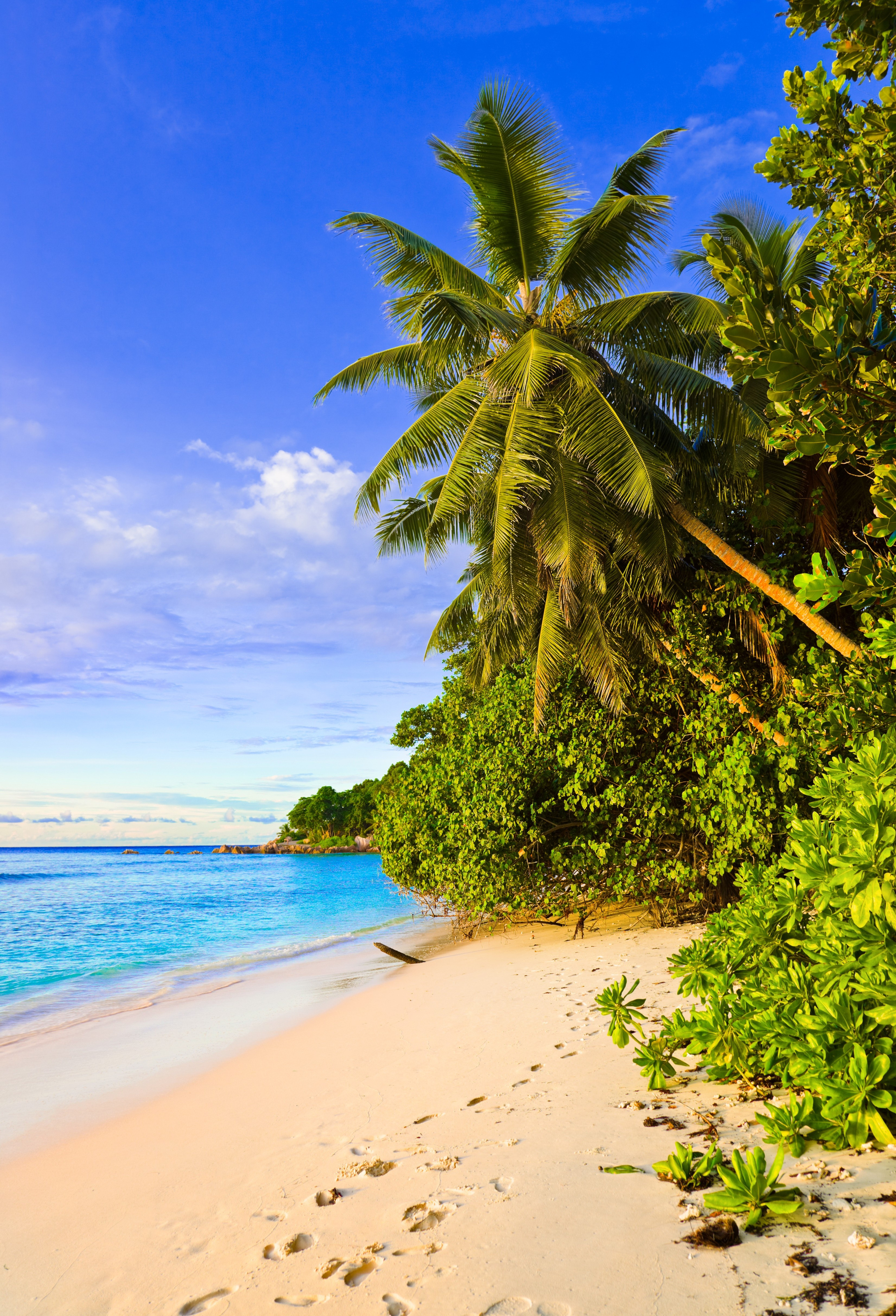 beautiful tropical beaches wallpaper