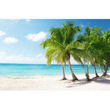 Caribbean Sea And Coconut Palms Wall Mural