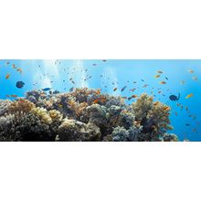 Shoal Panorama Wall Mural