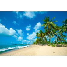 Tropical Beach In Sri Lanka Wall Mural