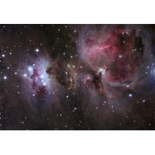 M42 Great Orion Nebula Wall Mural