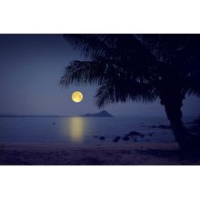 Romantic Beach Wall Mural