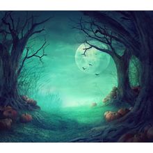 Spooky Halloween Woods Wall Mural