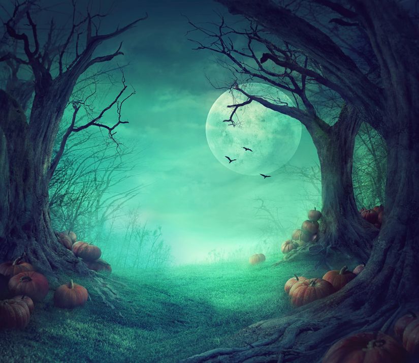 scary woods wallpaper