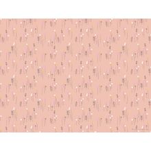 Peter Rabbit Peach Meadow Wallpaper