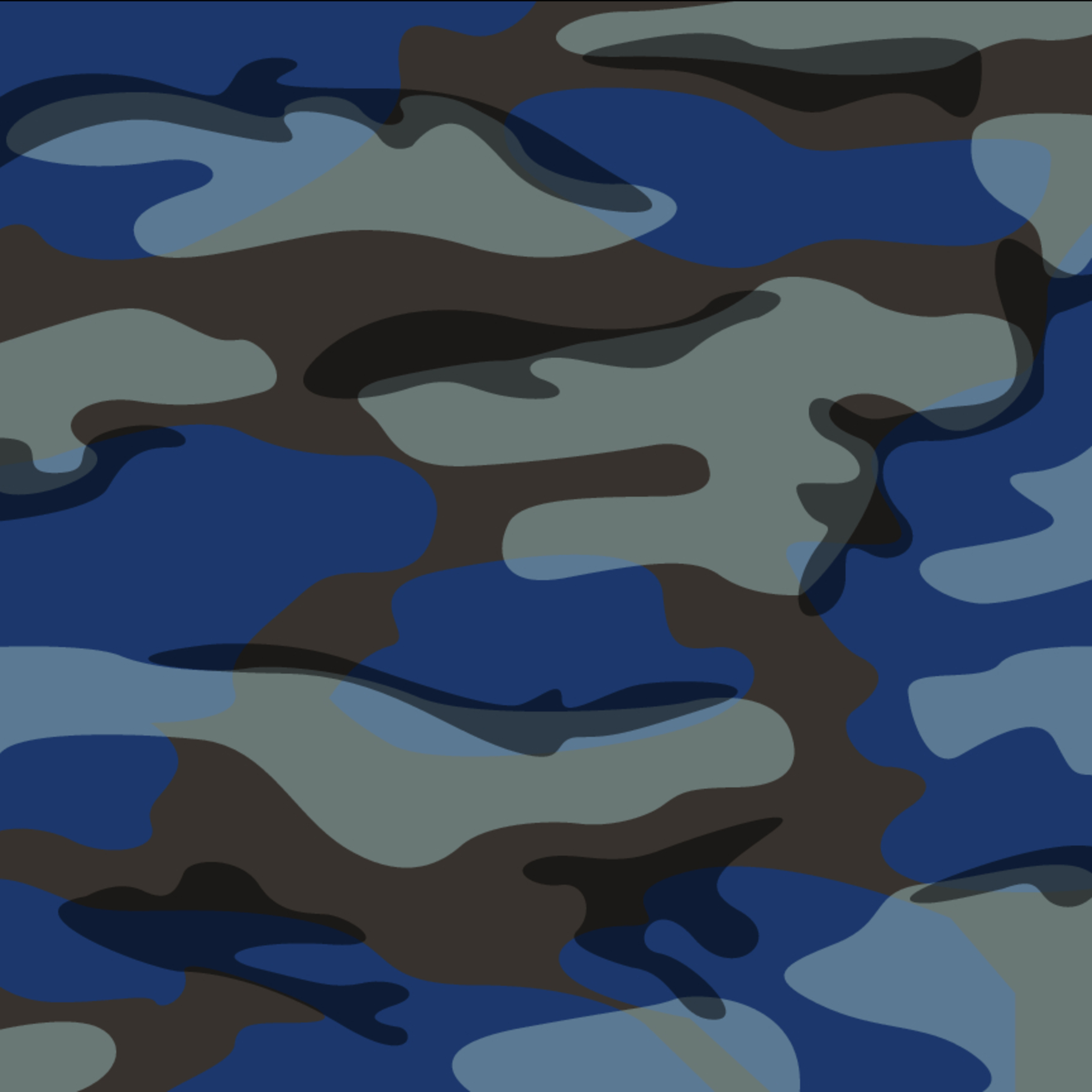 Blue Camo Mural By Andy Kocher - Murals Your Way