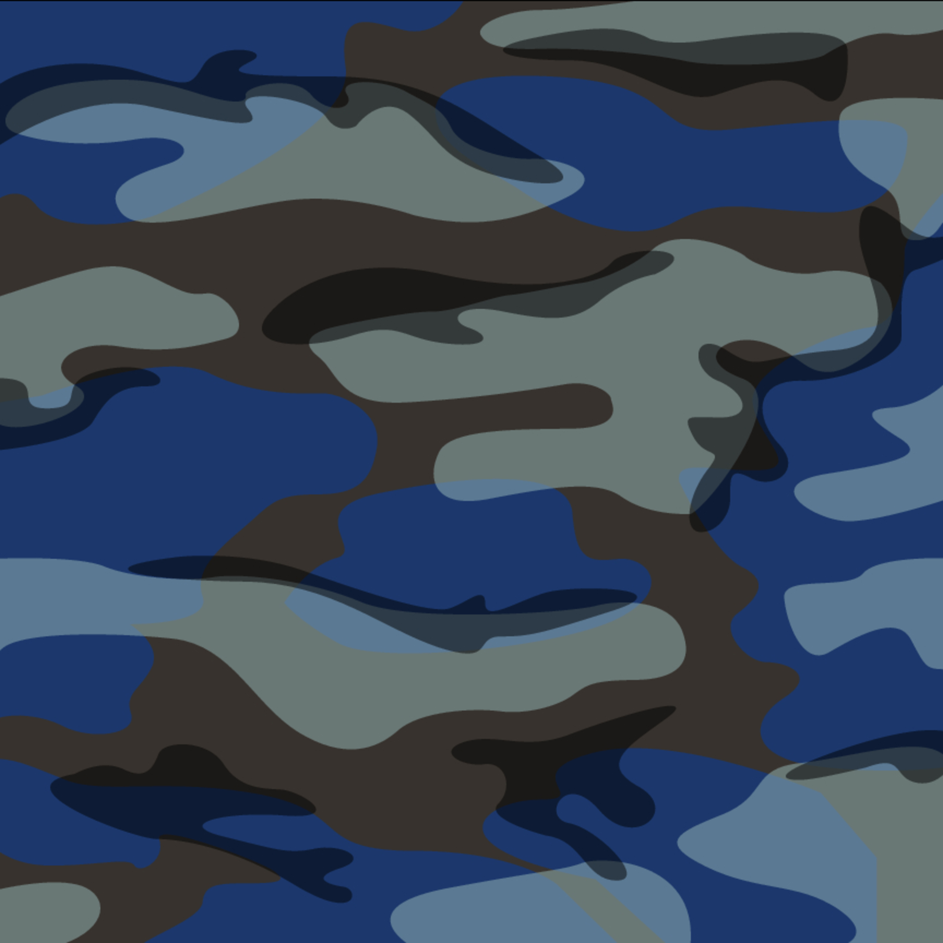 Blue Camo Mural By Andy Kocher Murals Your Way