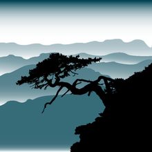Bonsai Tree With Rollin Hills Wall Mural