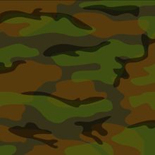 Camo Wallpaper