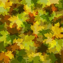 Camo Leaves Wall Mural