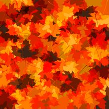 Fall Leaves II Wall Mural