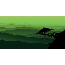 Bonsai Tree With Mountain View Wall Mural