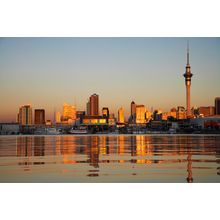 Sky Tower And Auckland Wall Mural