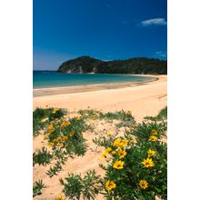 Matapouri Beach Wall Mural