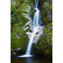 Dorothy Falls Wall Mural