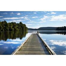 Jetty, Lake Mapourika Wall Mural