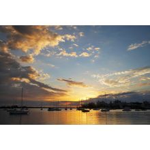 Sunrise & Yachts, Hastings River Wall Mural