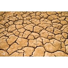 Dry Pond, Outback Wall Mural