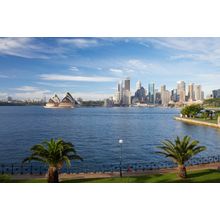 Sydney Opera House (Wall) Wall Mural