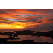 Dawn - Otago Harbour, New Zealand Wall Mural
