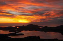 Dawn-Otago-Harbour-New-Zealand Mural-Wallpaper