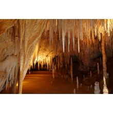 Stalactites, Hastings Caves, Australia Wall Mural