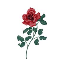 Deep Red Rose Wall Mural