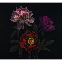 Luxurious Peony Wall Mural