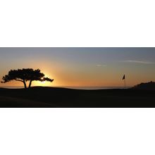 Pebble Beach Golf Links - 6th Hole Wall Mural