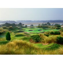 5th Hole At Kiawah Island Cassique Wall Mural