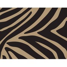 Black Zebra Wallpaper