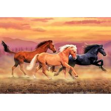 Running Free (Robinson) Wall Mural