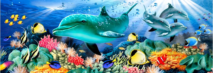 Dolphin-Light-Wallpaper-Mural