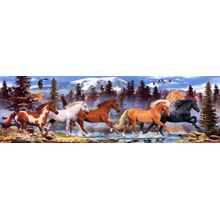 Running Free 2 (Robinson) Wall Mural