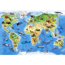 World Animal Atlas Wall Mural