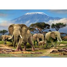 Kilimanjaro Morning Wall Mural