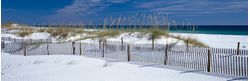 Gulf-Coast-Island-Mural-Wallpaper