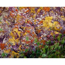 Southwest Splash Wall Mural