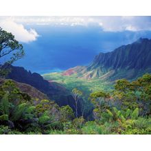Na Pali Secrets Wall Mural