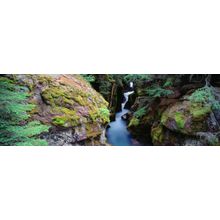 Avalanche Gorge Wall Mural