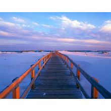 Beach of Dreams Wall Mural