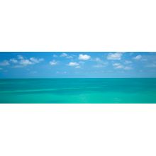 Gulf Breeze Wall Mural